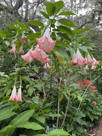 250 W West Lake Drive Hawthorne FL 32640