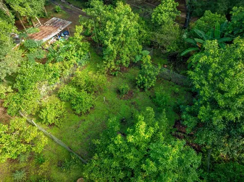 250 W West Lake Drive Hawthorne FL 32640