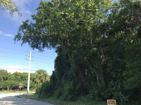 Madrid Street Lot 1 St Augustine Beach FL 32080