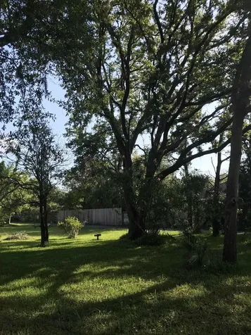 Madrid Street Lot 1 St Augustine Beach FL 32080