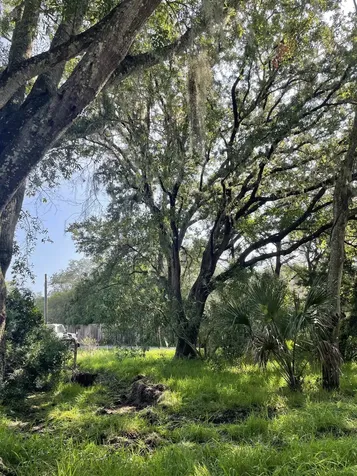 Madrid Street Lot 1 St Augustine Beach FL 32080
