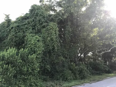 Madrid Street Lot 1 St Augustine Beach FL 32080