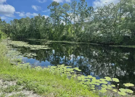 2420 S Kacie Lane St Augustine FL 32084