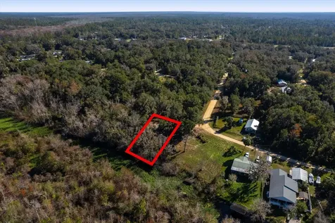 114 Ridgeline Avenue Satsuma FL 32189