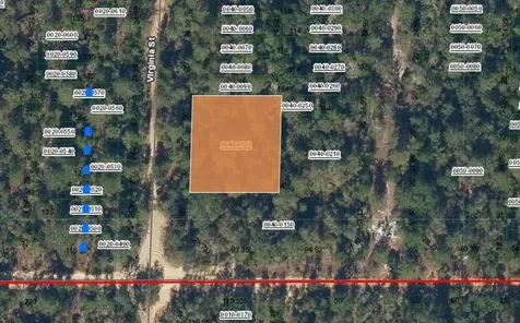 0 Virginia Interlachen FL 32148-0000