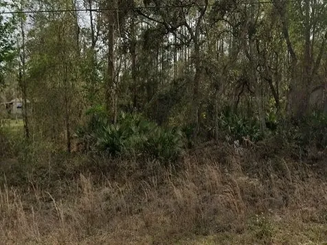 0 Britt Interlachen FL 32148-0000