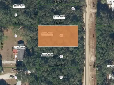 0 Dunham Interlachen FL 32148-0000