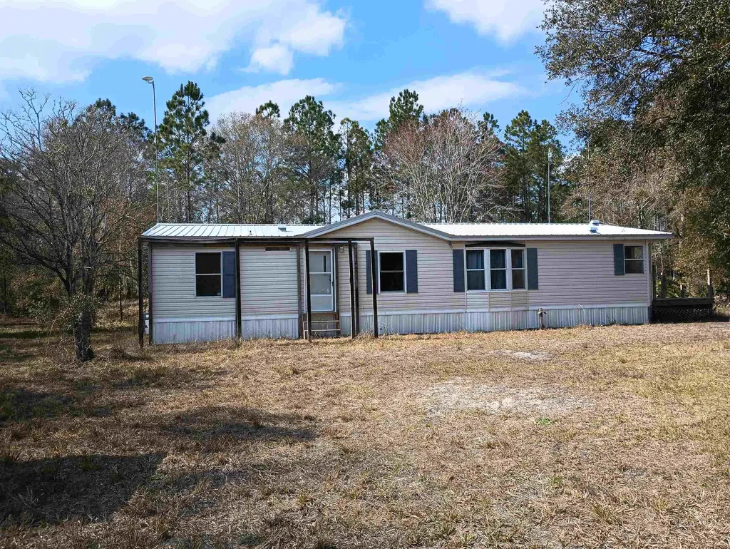 10245 Beckenger Avenue Hastings FL 32145-0000