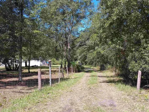 10245 Beckenger Avenue Hastings FL 32145-0000