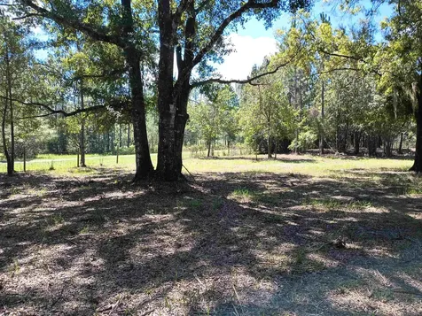 10245 Beckenger Avenue Hastings FL 32145-0000