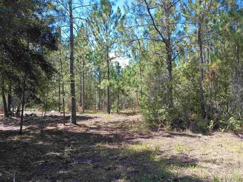 10245 Beckenger Avenue Hastings FL 32145-0000