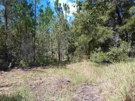 10245 Beckenger Avenue Hastings FL 32145-0000