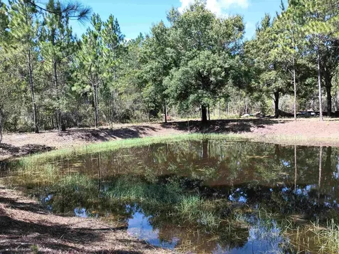 10245 Beckenger Avenue Hastings FL 32145-0000