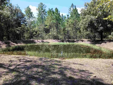 10245 Beckenger Avenue Hastings FL 32145-0000