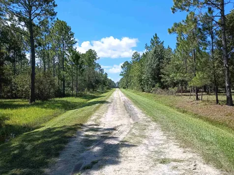 10245 Beckenger Avenue Hastings FL 32145-0000