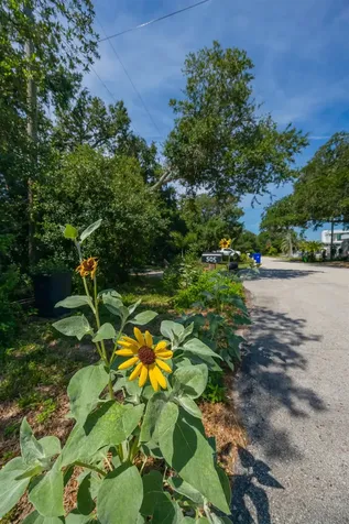 505 12th Street St Augustine FL 32084