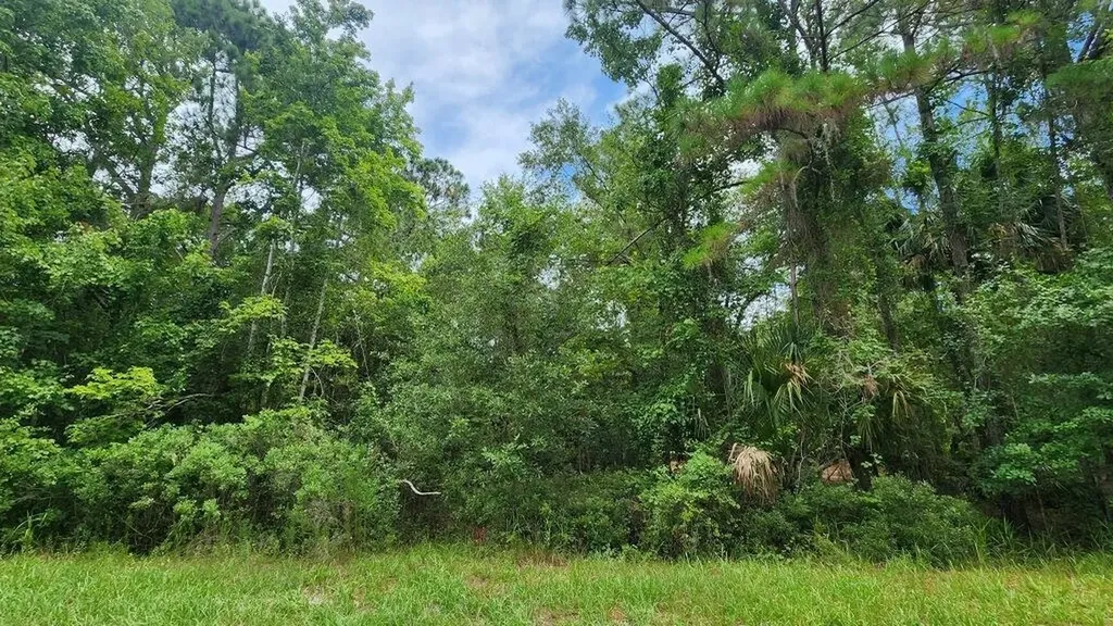 216 Palm Way Georgetown FL 32112
