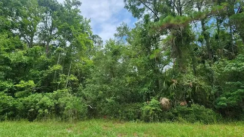 216 Palm Way Georgetown FL 32112