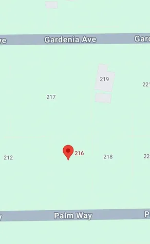 216 Palm Way Georgetown FL 32112