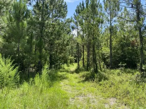 550 W River Road Palatka FL 32177