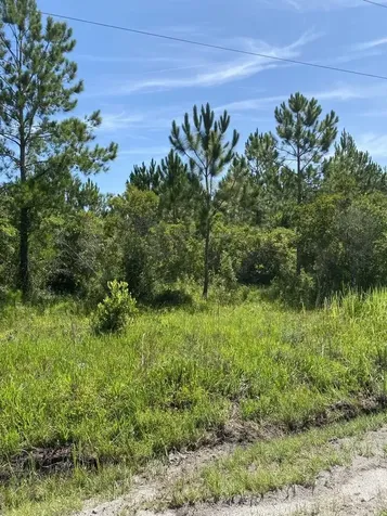 550 W River Road Palatka FL 32177