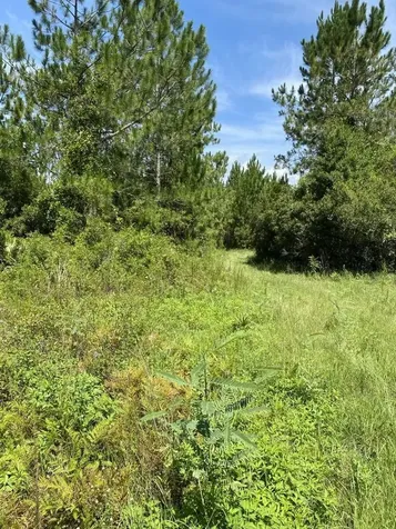 550 W River Road Palatka FL 32177