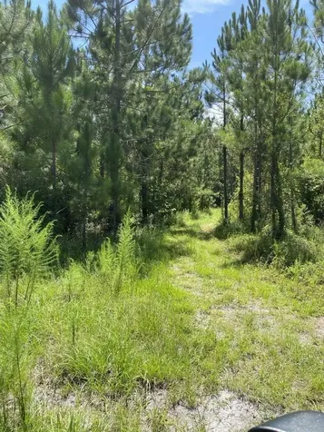 550 W River Road Palatka FL 32177