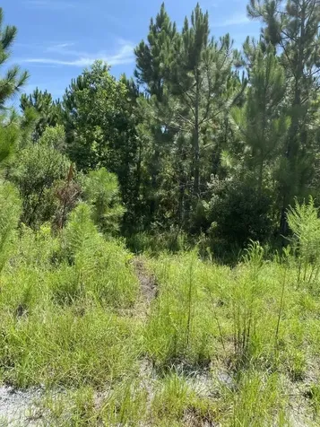 550 W River Road Palatka FL 32177