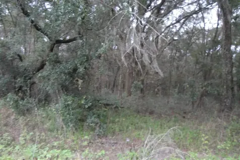 NW Creek 236 High Springs FL 32643