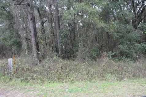 NW Creek 236 High Springs FL 32643