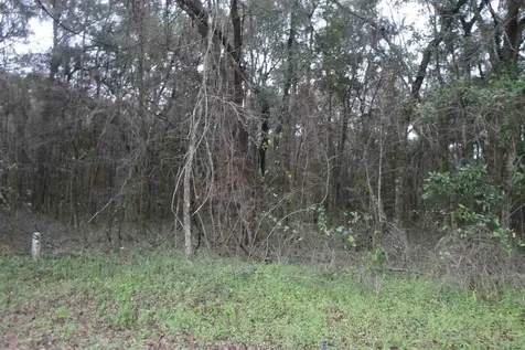 NW Creek 236 High Springs FL 32643