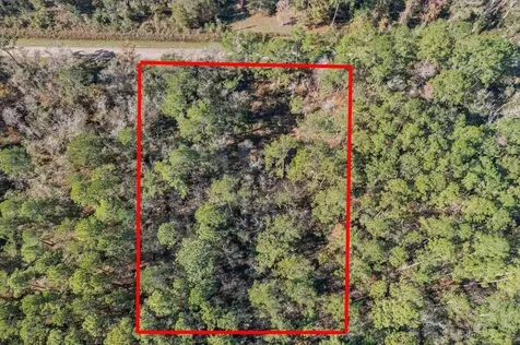 10690 Gregory Avenue Hastings FL 32145