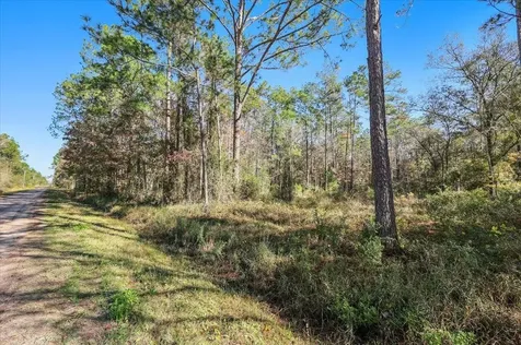 10690 Gregory Avenue Hastings FL 32145