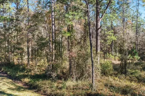10690 Gregory Avenue Hastings FL 32145