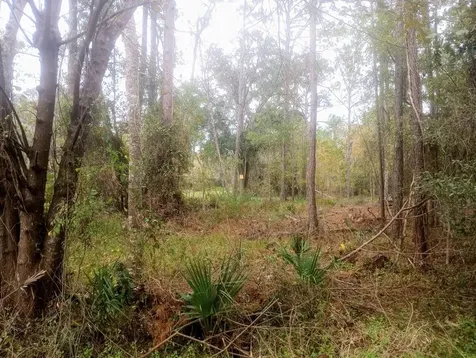 2890 Hilltop Road St Augustine FL 32086