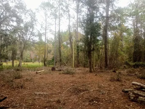 2890 Hilltop Road St Augustine FL 32086