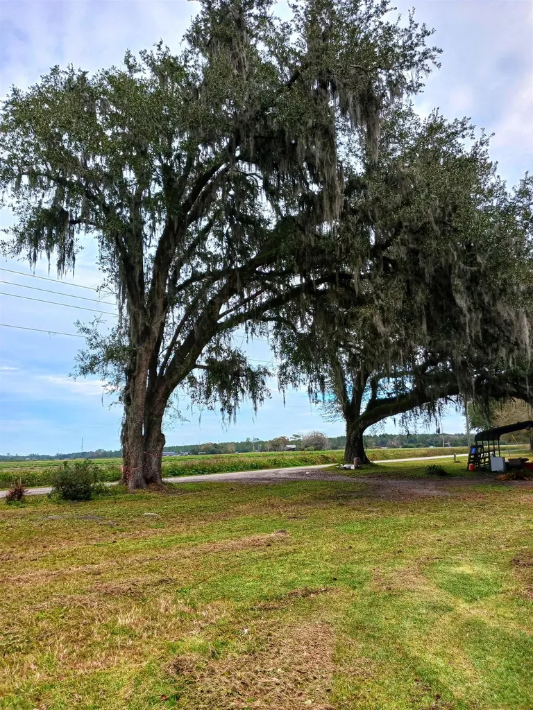 5041 Blount Road Elkton FL 32033