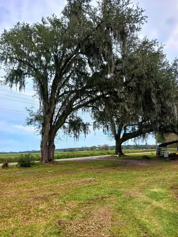 5041 Blount Road Elkton FL 32033