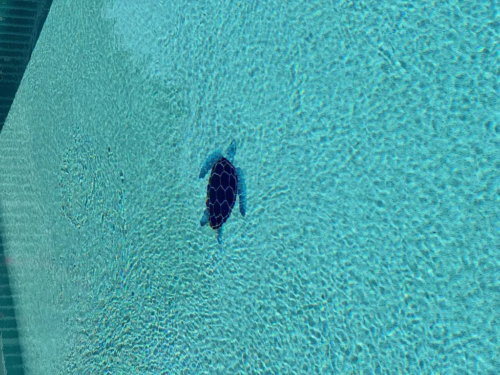 3001 W Gulf Drive Sanibel FL 33957