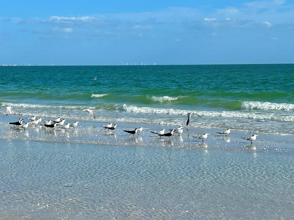 631 Nerita Street Sanibel FL 33957