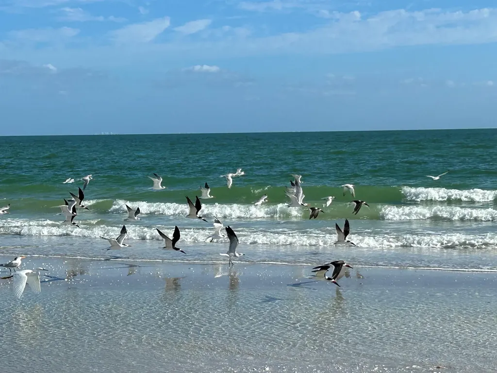 631 Nerita Street Sanibel FL 33957