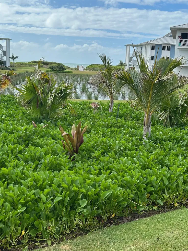 1341 Middle Gulf Drive Sanibel FL 33957