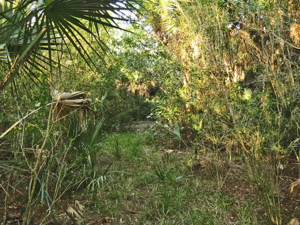 6095 Dinkins Lake Road Sanibel FL 33957
