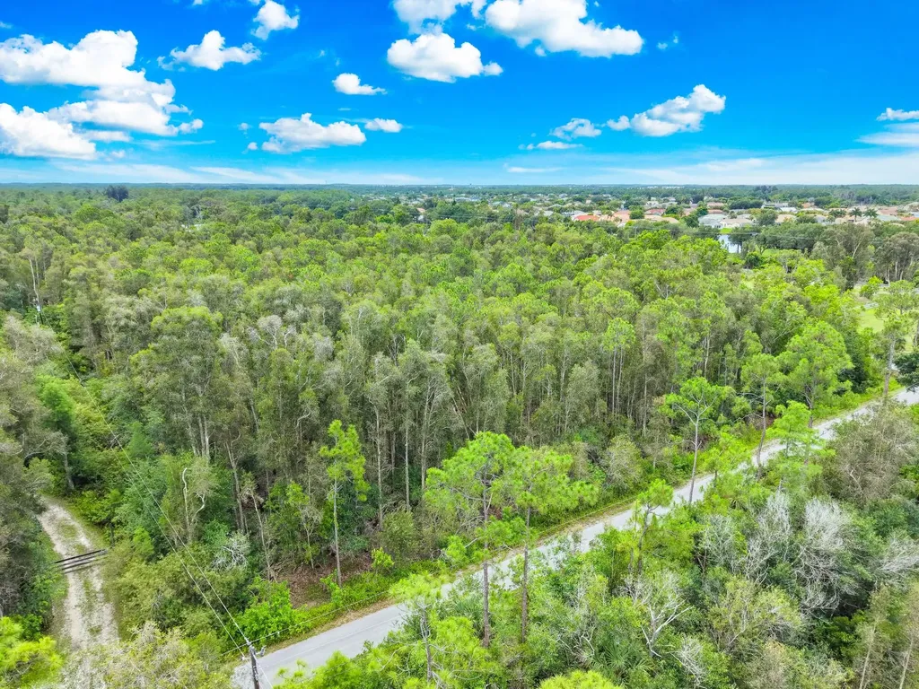 12351 Caisson Lane Fort Myers FL 33912