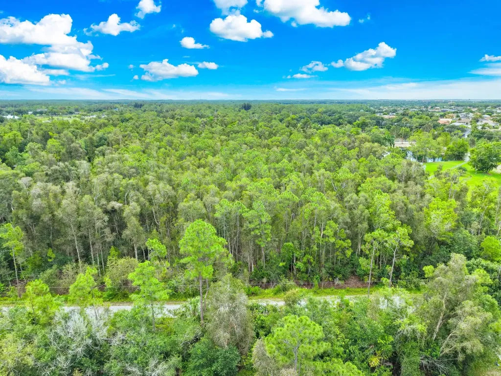 12351 Caisson Lane Fort Myers FL 33912