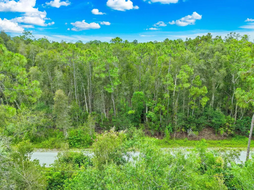 12351 Caisson Lane Fort Myers FL 33912
