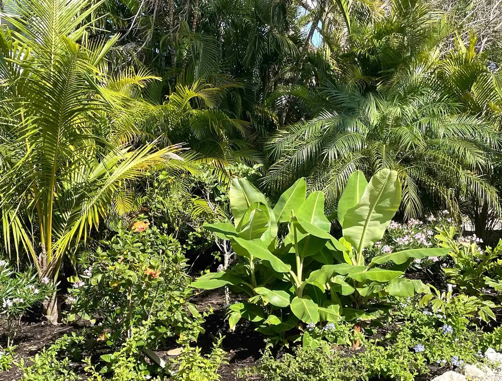 2391 Shop Road Sanibel FL 33957