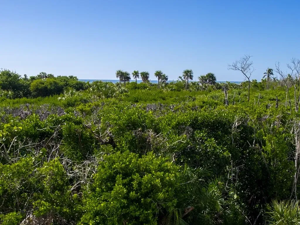 5095 Joewood Drive Sanibel FL 33957