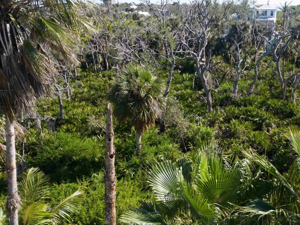 13371 Almond Drive Fort Myers FL 33908