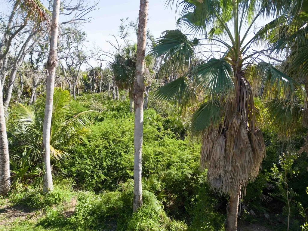 13371 Almond Drive Fort Myers FL 33908